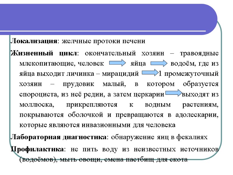 Локализация: желчные протоки печени Жизненный цикл: окончательный хозяин – травоядные млекопитающие, человек  